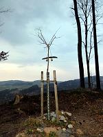  17. März 2012 - Samstagabend bei Samuel; es ist warm geworden in den letzten Tagen